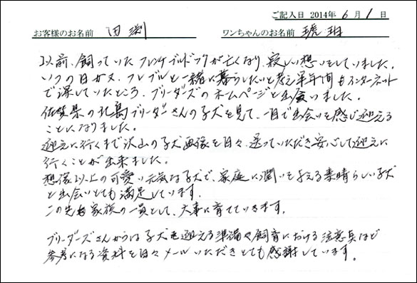 シェットランドシープドッグお客様の声