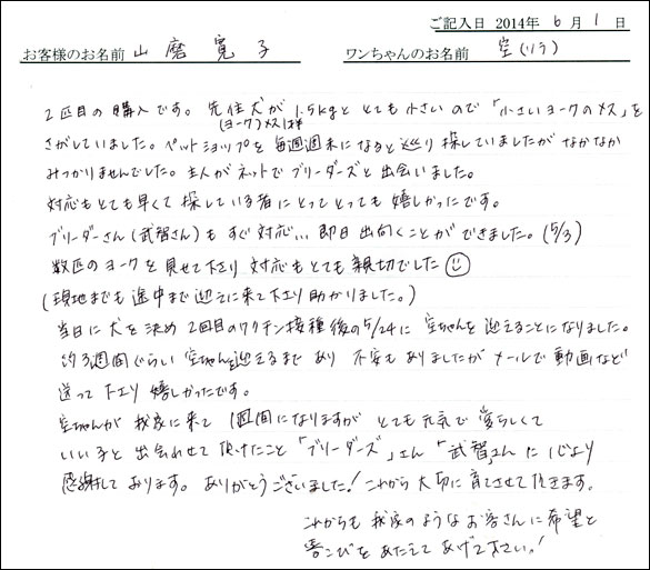シェットランドシープドッグお客様の声