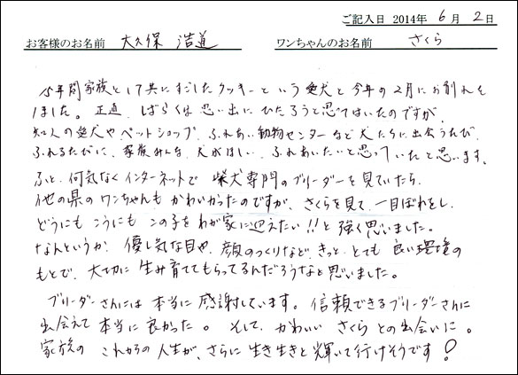 シェットランドシープドッグお客様の声