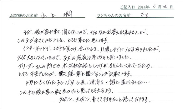 シェットランドシープドッグお客様の声