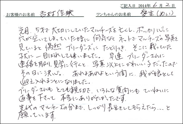 シェットランドシープドッグお客様の声