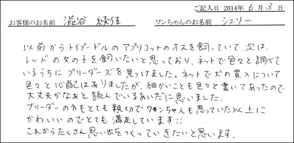 シェットランドシープドッグお客様の声