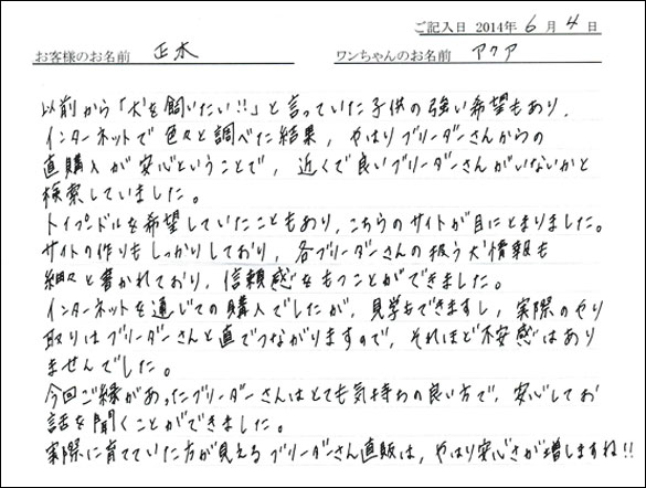 シェットランドシープドッグお客様の声