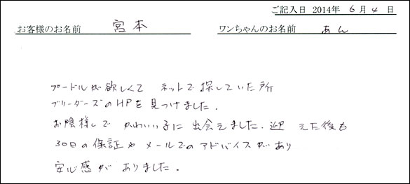 シェットランドシープドッグお客様の声
