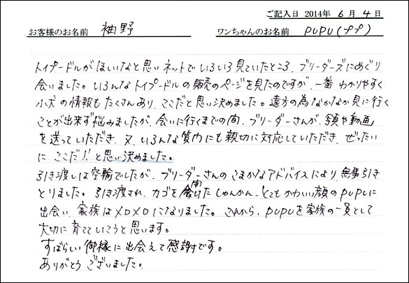 シェットランドシープドッグお客様の声
