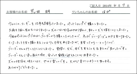 シェットランドシープドッグお客様の声