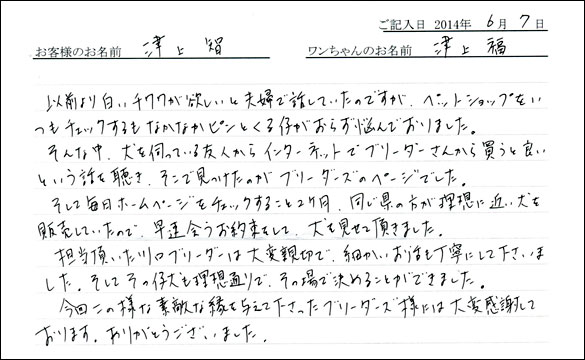 シェットランドシープドッグお客様の声