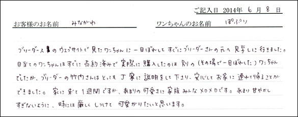 シェットランドシープドッグお客様の声