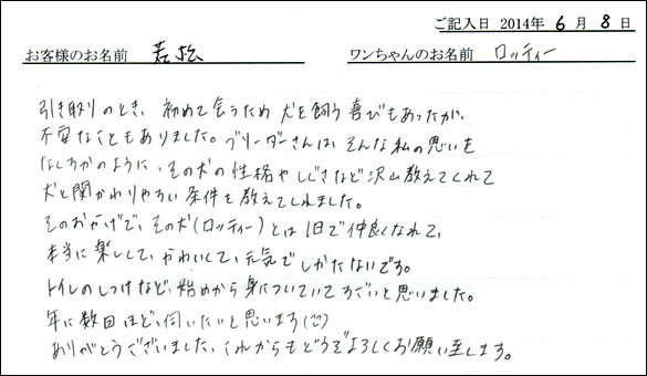シェットランドシープドッグお客様の声