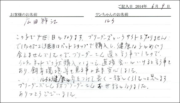 シェットランドシープドッグお客様の声