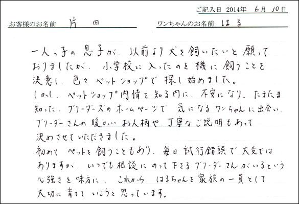 シェットランドシープドッグお客様の声
