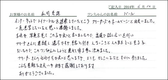シェットランドシープドッグお客様の声
