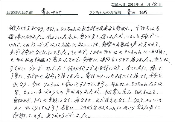 シェットランドシープドッグお客様の声