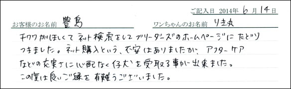 シェットランドシープドッグお客様の声