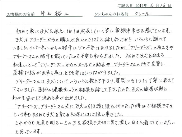 シェットランドシープドッグお客様の声
