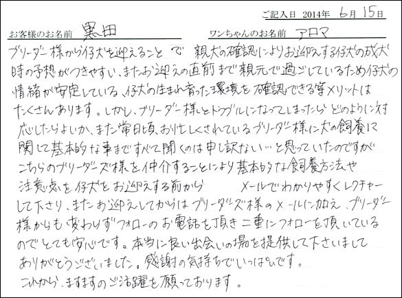 シェットランドシープドッグお客様の声