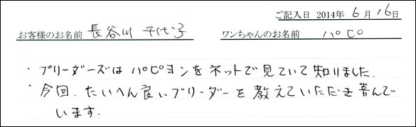 シェットランドシープドッグお客様の声
