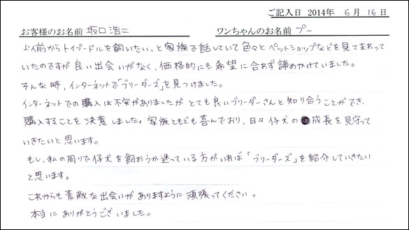 シェットランドシープドッグお客様の声