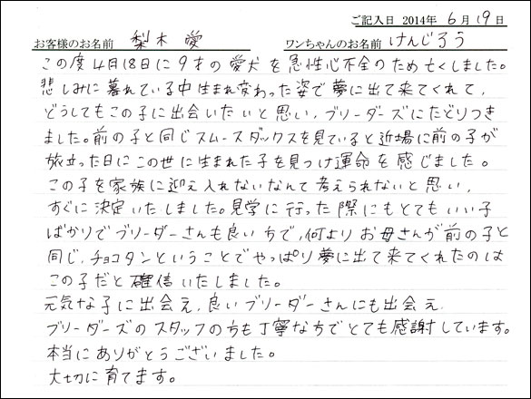 シェットランドシープドッグお客様の声