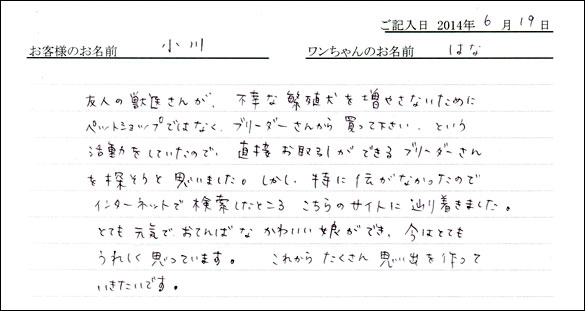 シェットランドシープドッグお客様の声