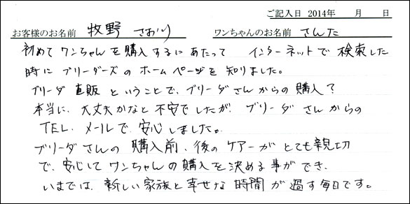 シェットランドシープドッグお客様の声