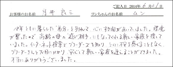 シェットランドシープドッグお客様の声