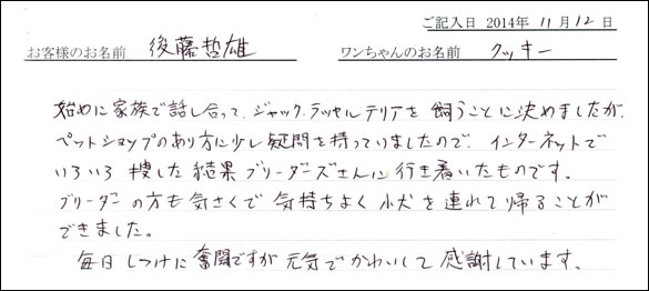 子犬お客様の声