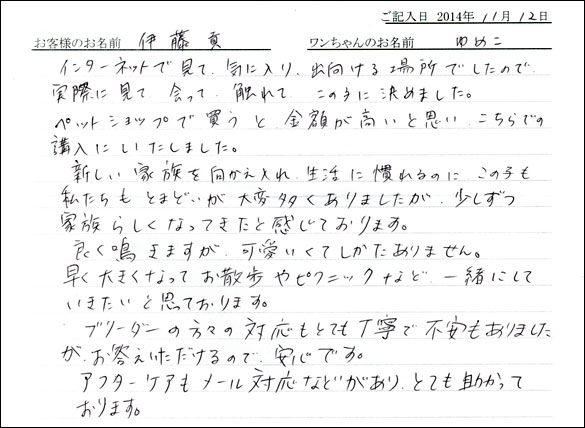 子犬お客様の声