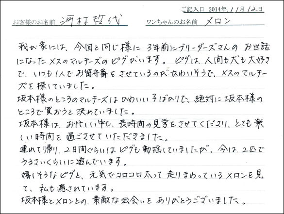 子犬お客様の声