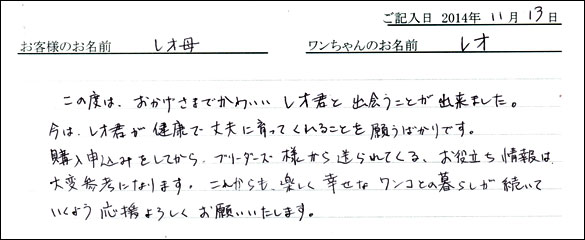 子犬お客様の声