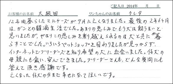 子犬お客様の声