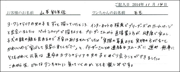 子犬お客様の声