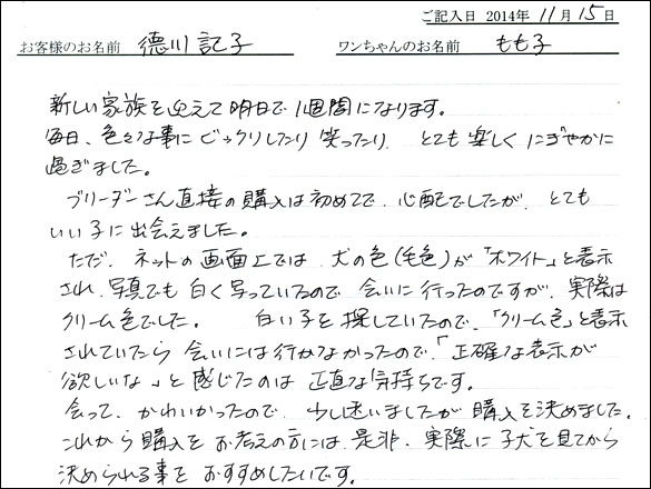 子犬お客様の声