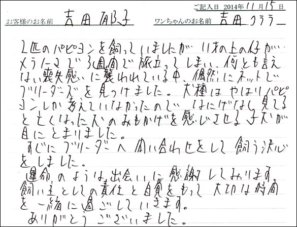 子犬お客様の声