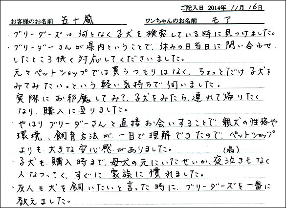 子犬お客様の声