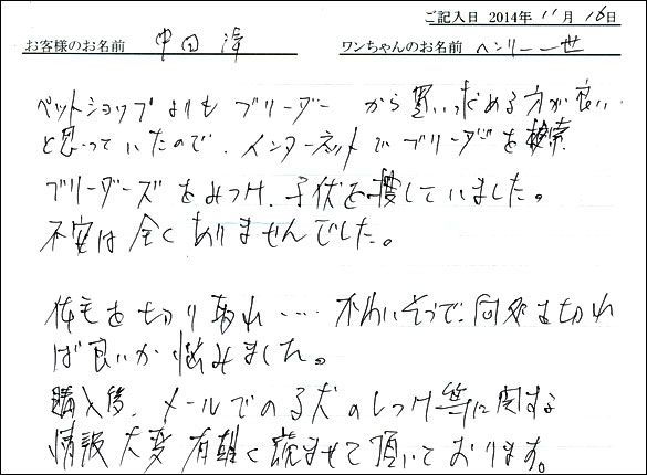 子犬お客様の声