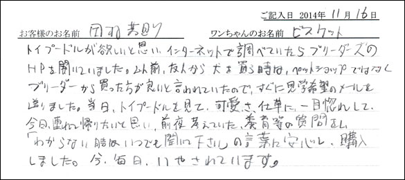 子犬お客様の声