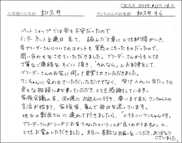 子犬お客様の声