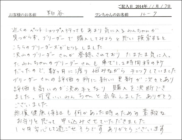 子犬お客様の声