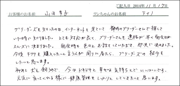 子犬お客様の声