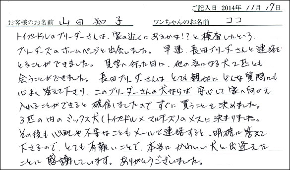 子犬お客様の声