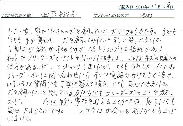子犬お客様の声