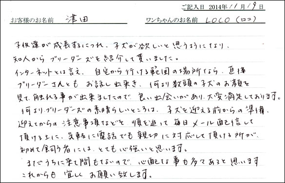 子犬お客様の声