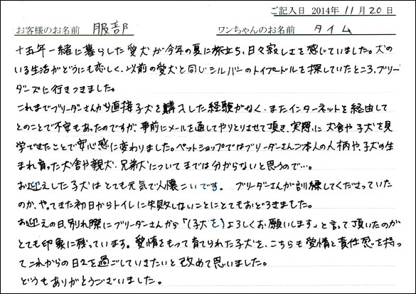 子犬お客様の声