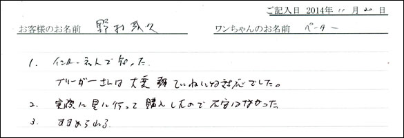子犬お客様の声