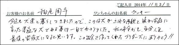 子犬お客様の声