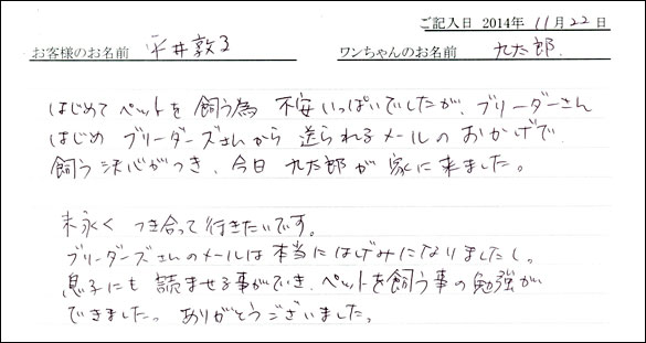 子犬お客様の声