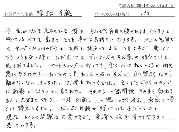 子犬お客様の声