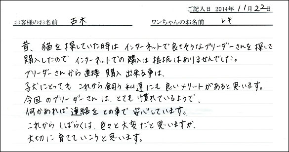 子犬お客様の声