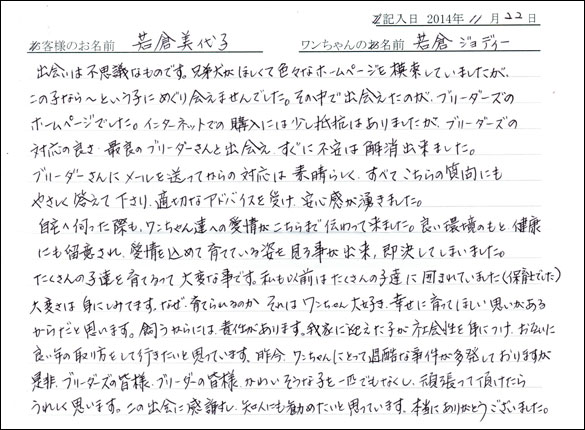 子犬お客様の声